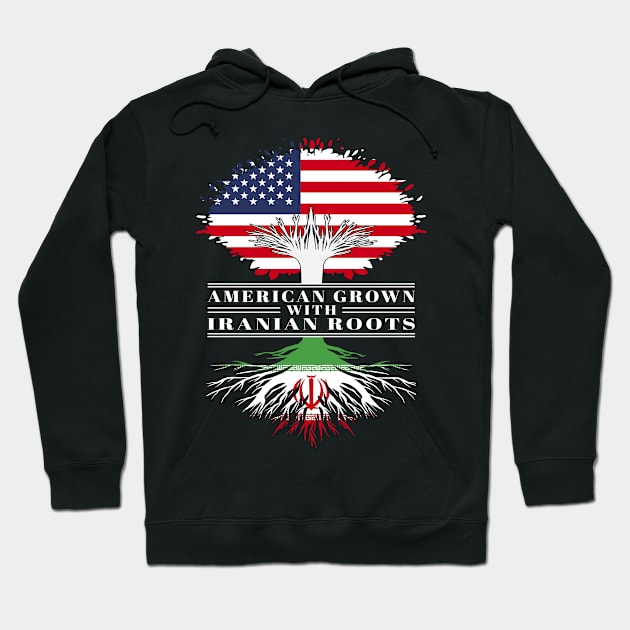 American Grown With Iranian Roots Us Iran Flag Tree Hoodie by BramCrye